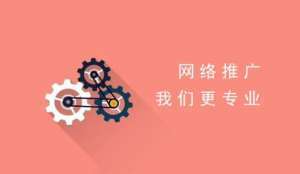 如何實現(xiàn)網(wǎng)站推廣的效果最大化?促進(jìn)引流的實際方法是什么?